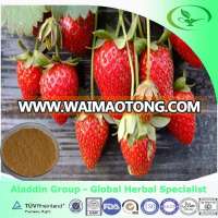 2013 High Purity strawberry Fruit Juice Powder Fruit Juice Powder