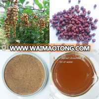 Schisandra fruit juice concentrate powder